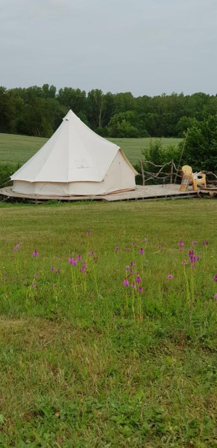 Camping La Petite Houmee Curzay-sur-Vonne Bagian luar foto