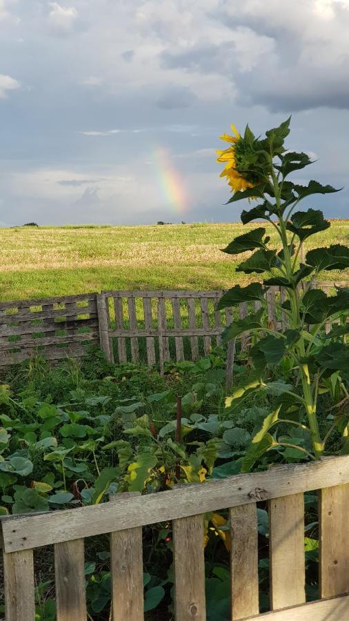 Camping La Petite Houmee Curzay-sur-Vonne Bagian luar foto